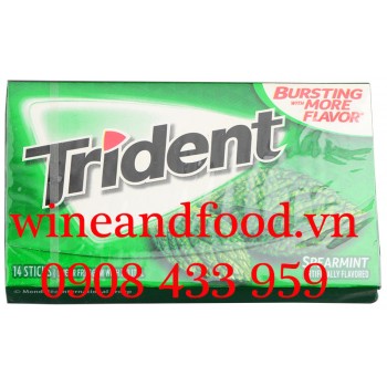 Kẹo cao su chewing gum Trident Bạc Hà không đường 14 thanh