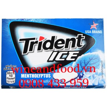 Kẹo cao su chewing gum Trident Ice Bạc Hà Mentholyptus 11g2
