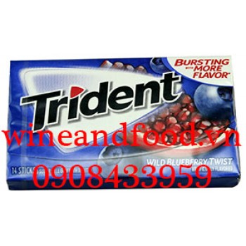 Kẹo cao su chewing gum Trident Wild Blueberry Twist 14 thanh