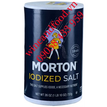 Muối Iot Morton Iodized Salt 737g