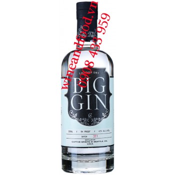 Rượu Big Gin London Dry 750ml