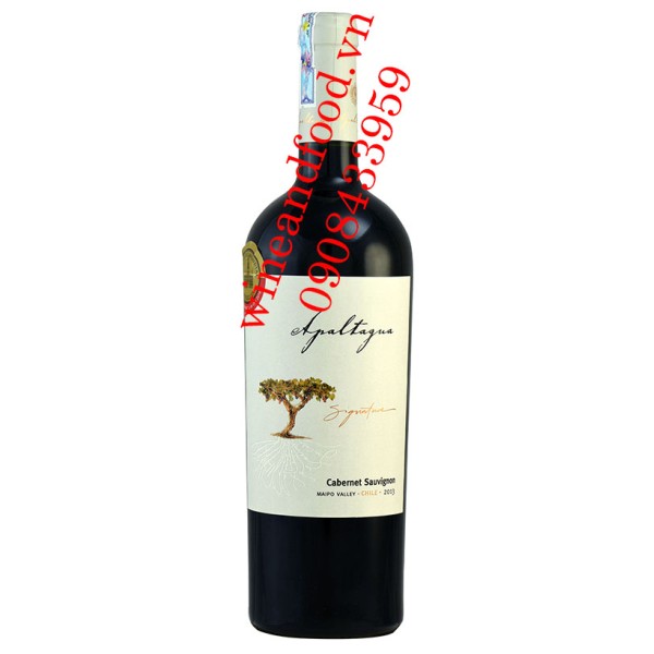 Rượu vang Apaltagua Signature Cabernet Sauvignon