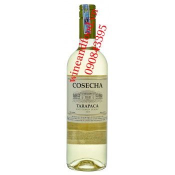 Rượu vang Cosecha Tarapaca Sauvignon Blanc 750ml