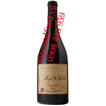 Rượu vang Coup de Foundre Pinot Noir 2013