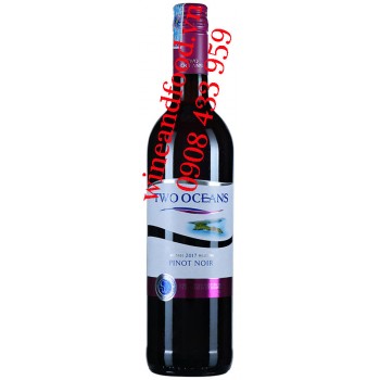 Rượu vang Two Oceans Pinot Noir 750ml