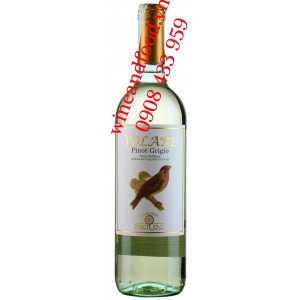 Rượu vang trắng Volare Pinot Grigio Igp Cantine Paolini 750ml