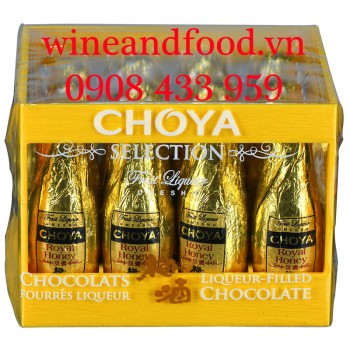 Socola rượu mơ The Choya Royal Honey Selection 12 viên