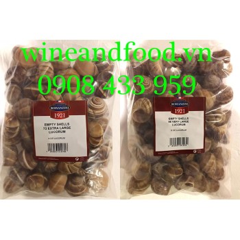 Vỏ ốc sên Pháp rỗng size lớn Romanzini