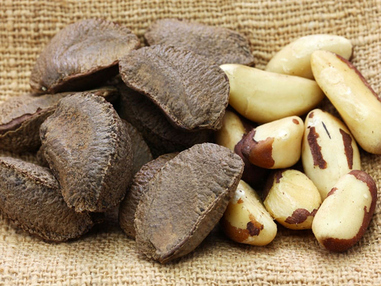 Hạt Brazil Nut