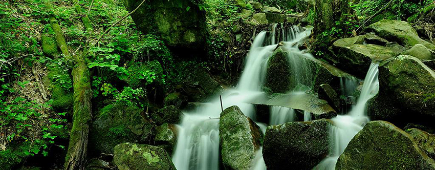 Nguồn nước tinh khiết của dòng suối nơi khai thác Acqua Panna