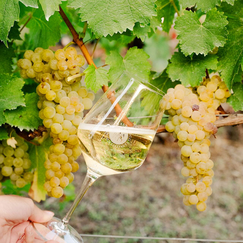 Rượu vang nổ Asti sủi bọt mạnh mẽ ​​​​​​​trong khi đó, vang Moscato d’Asti sủi bọt nhẹ nhàng hơn
