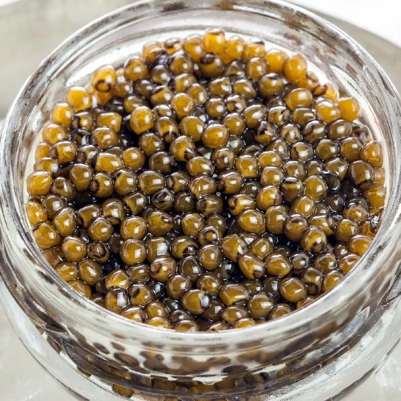 Trứng cá tầm Fresh Farmed Osetra Amur Caviar